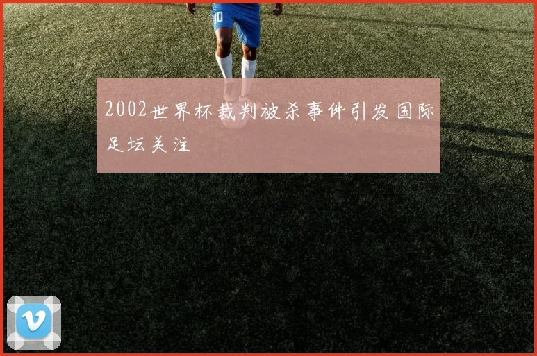 2002世界杯裁判被杀事件引发国际足坛关注